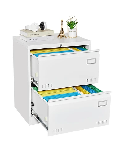 Rainsken 2 Drawer Lateral File Cabinet with Lock, Home Office Metal Filing Cabinet for Letter/Legal/A4/F4 Size (White)