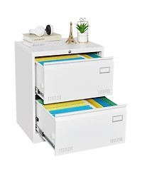 Rainsken 2 Drawer Lateral File Cabinet with Lock, Home Office Metal Filing Cabinet for Letter/Legal/A4/F4 Size (White)