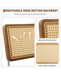 gaomon Rattan Dining Chairs Set of 2, Upholstered Boho Chairs with Solid Wood Frame