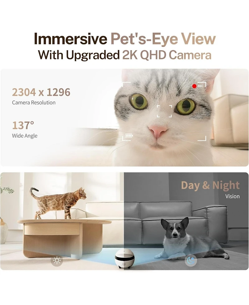 Enabot Rola Mini Smart Companion Robot with 2K Camera, Two-Way Audio & Night Vision