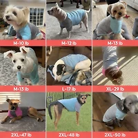 Aronkl 2-Pack Lightweight Athletic Dog T-Shirt with Reflective Label for Outdoor Use