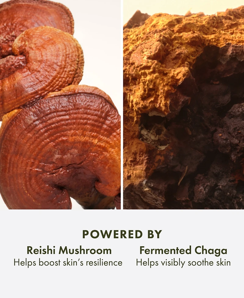 Origins Dr. Andrew Weil Mega-Mushroom Relief & Resilience Soothing Cream, 1.7-oz.