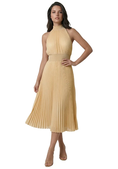 Bebe Women's Sleeveless Pleated Dress