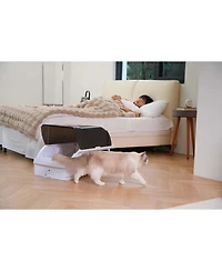 Aostirmotor Smart Cat Litter Box with Wide Opening – Self-Cleaning Hooded Litter Box for Cats