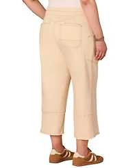 Democracy Plus Sky-Rise Cropped Wide-Leg Pants