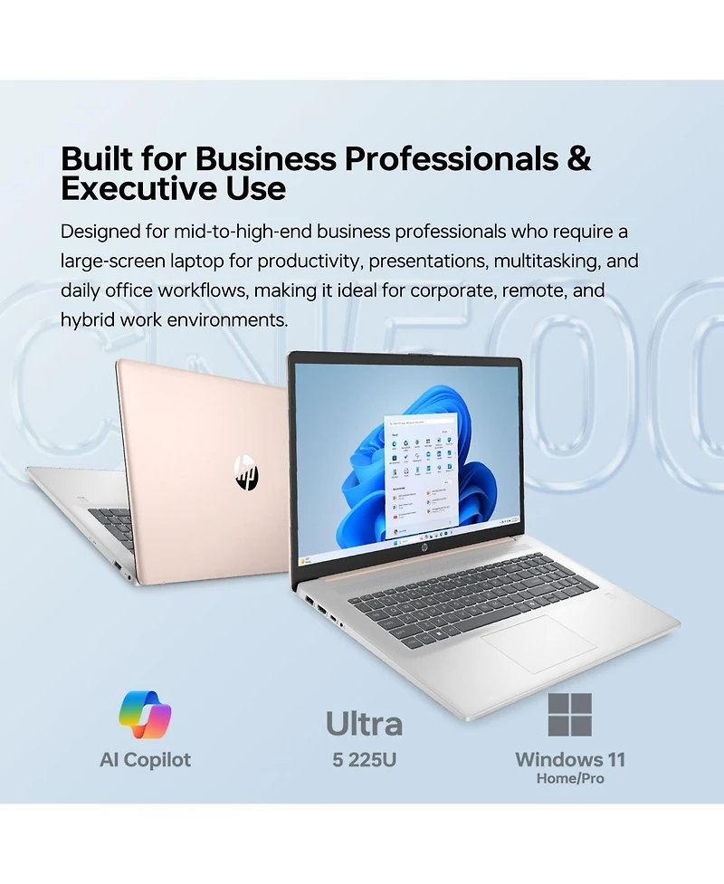 Hp Essential 17.3" Traditional Laptop Intel Core Ultra 5 64GB Ram Intel Graphics 1TB Ssd Storage Windows 11 Pro 60Hz