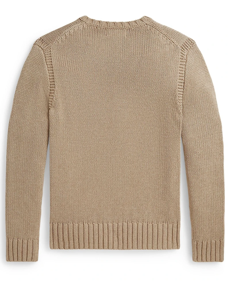 Polo Ralph Lauren Boys' 8-20 Contrast Trim Iconic Flag Sweater