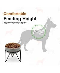 Aronkl Elevated Dog Ceramic Bowl Set 2 Pack with Anti-slip Non-tip Metal Stand for Dogs Food Water Feeding