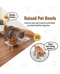 Aronkl Elevated Pet Feeder Stand with Stainless Steel & Glass Bowls for Small/Medium Dogs Cats