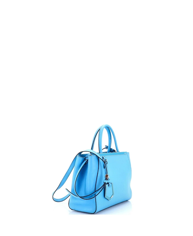 Pre-Owned Fendi Petite 2Jours Bag Leather