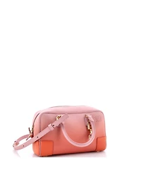 Pre-Owned Loewe 23 Amazona Bag Degrade Leather