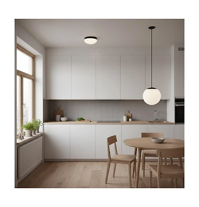 Busdays 10-inch Diameter Etched Glass Globe Integrated Led Pendant