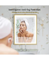 Luvodi Led Bathroom Mirror with Gold Frame 3 Color Temperature Anti-Fog