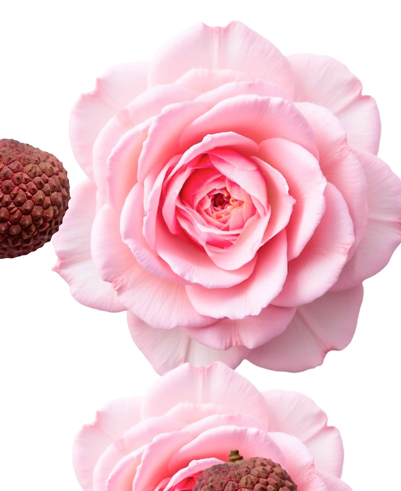 Parfums de Marly Delina Body Cream Refillable, 6.7 oz.