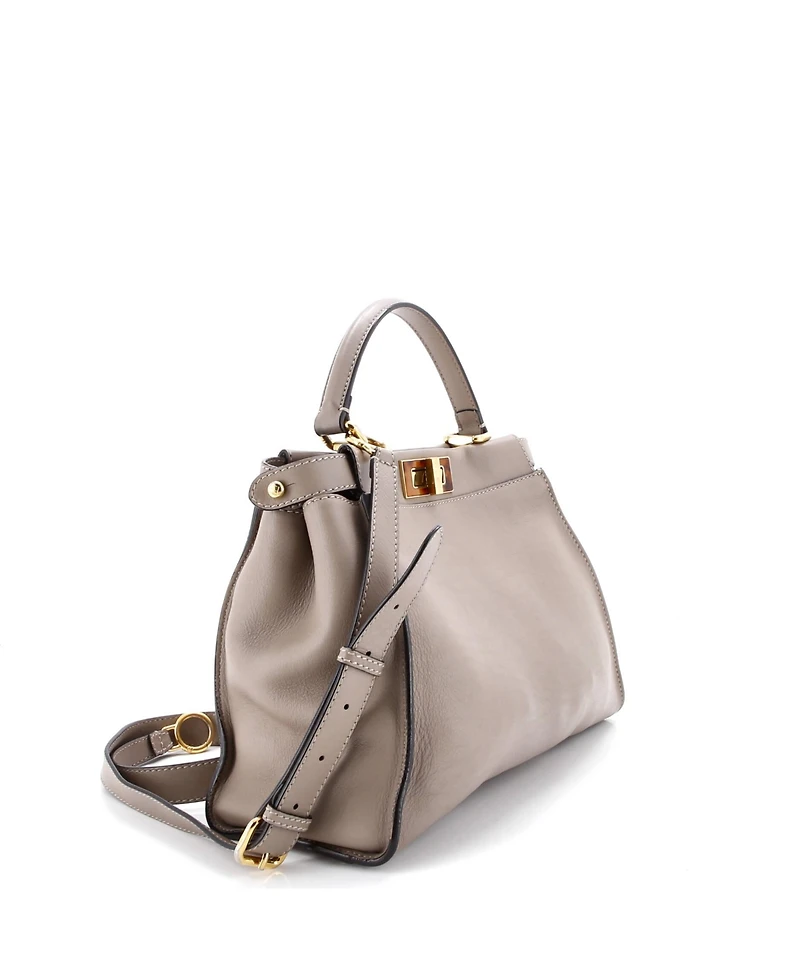 Pre-Owned Fendi Regular Peekaboo Bag Leather with Plexiglass Detail