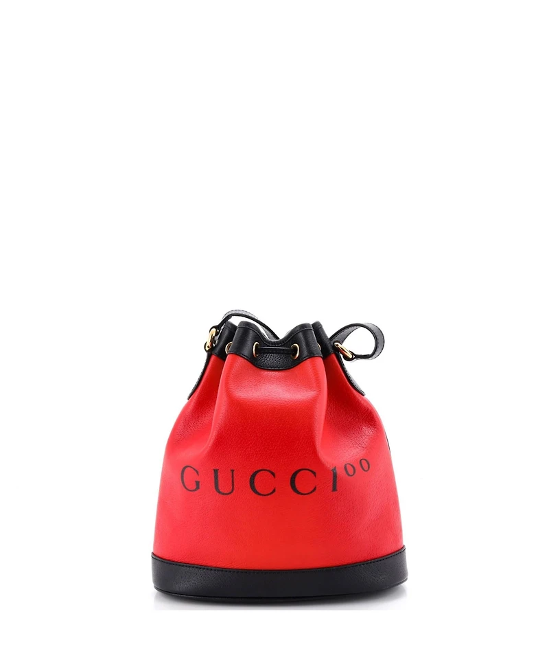 Pre-Owned Gucci 100 Bucket Bag Printed Leather