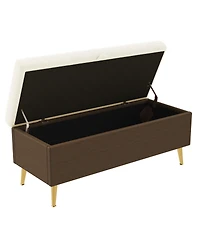 Rainsken Modern Storage Ottoman Bench