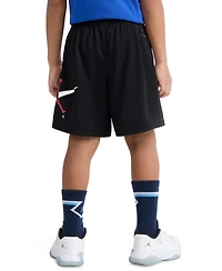 Jordan Boys' 4-7X Brand Arch Mesh Shorts