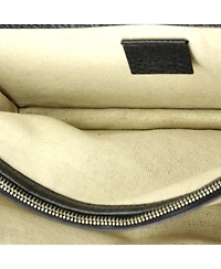 Pre-Owned Gucci Dionysus Bag Leather