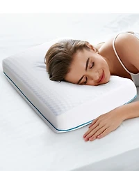 Cheer Collection Gel Memory Foam Pillow, Standard