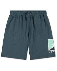 Jordan Boys' 8-20 Pull-On Mesh Shorts
