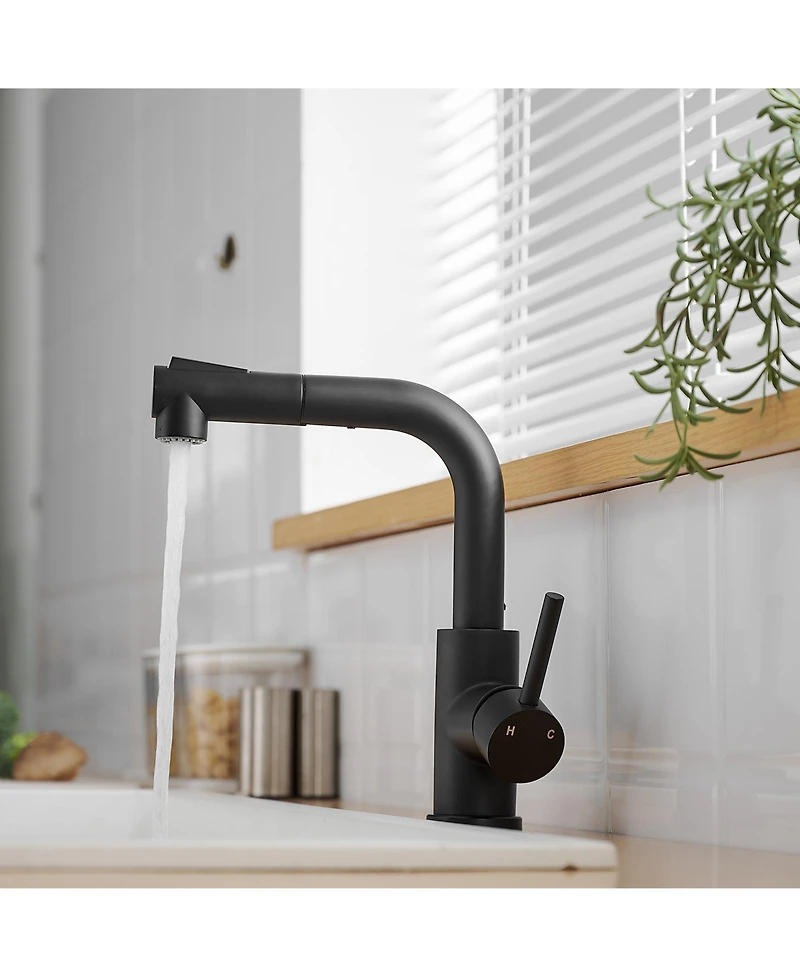 Busdays Sink Faucet, Black Kitchen Faucets with Pull out Sprayer, Bathroom Sink Faucets Mini Bar Prep Faucet