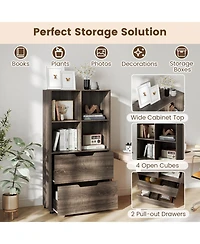 Gouun 4-Cube Bookcase with 2 Drawers and 51-Inch Tall Frame