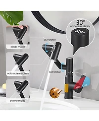 Busdays Bathroom Sink Faucet with Spray Function, Temperature Display, Anti-Slip Switch, Hot and Cold Controls, and 360degree(s) Swivel Spout