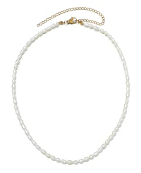 Adornia Tarnish Resistant Freshwater Pearl Seed Strand Necklace