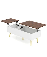 Gouun 47 in Split Lift-Top Coffee Table with Hidden Compartments
