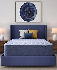 Serta Dream Haven 14" Firm Tight Top Mattress, Full