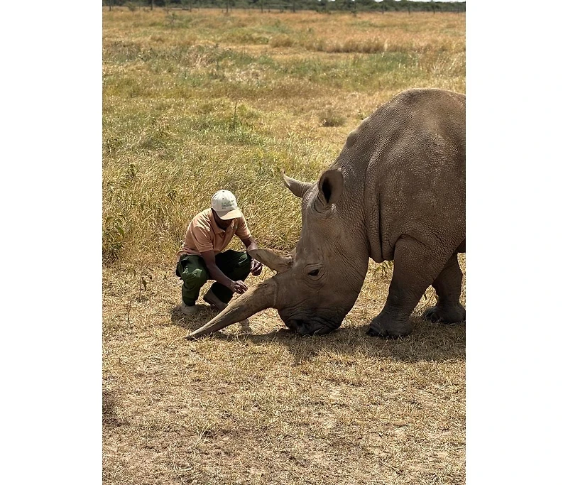 Silent Strength Beaded Bracelet – Black with Red & White Triangles