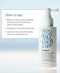 Briogeo Scalp Revival Charcoal + Tea Tree Buildup Detox Spray, 4 oz.