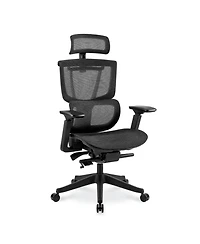 FlexiSpot Ergonomic Chair C7-Mesh Seat (No Footrest
