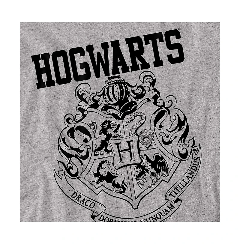 Harry Potter Men's Hogwarts Graphic Athletic T-Shirt