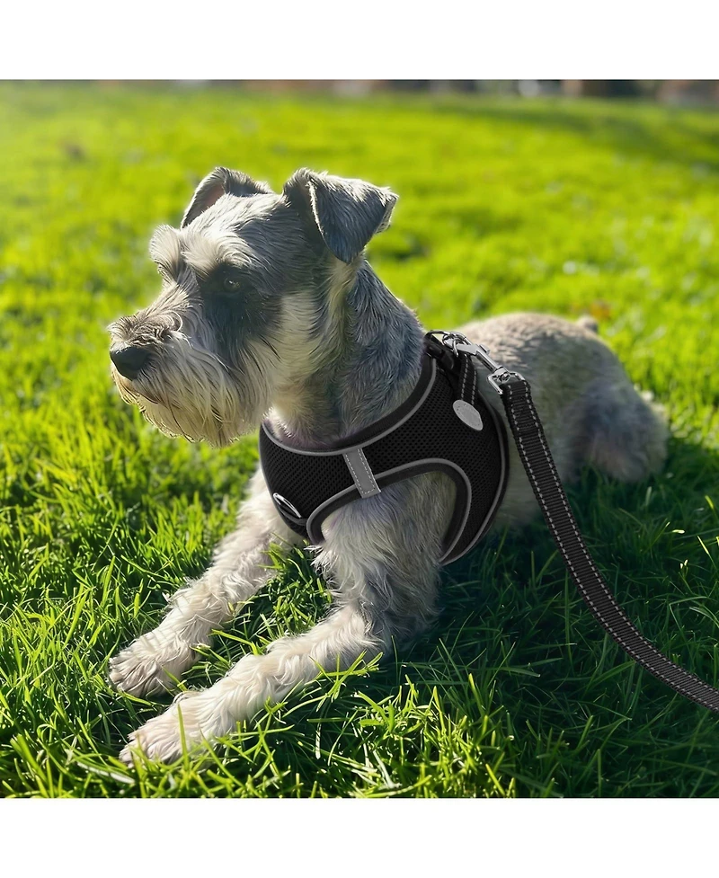 Aronkl Step-in Dog Harness Breathable Mesh Reflective Soft Padded for Small Dogs Cats