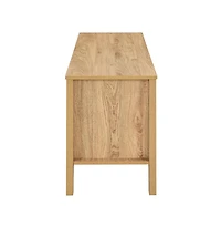 New Classic Furniture Thayer Wood Tv Console with Two Doors