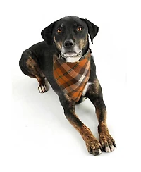 Aronkl Spring Dog Bandanas 2 Pack Floral Pet Scarves Durable Double Layer Fabric Seasonal Cute Fashionable for Dogs