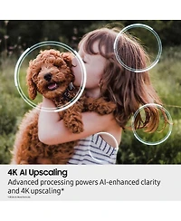 Samsung QN75QN80FDFXZA 75" NeoQLED QN80F Series Uhd 4K Smart Tv (2025)