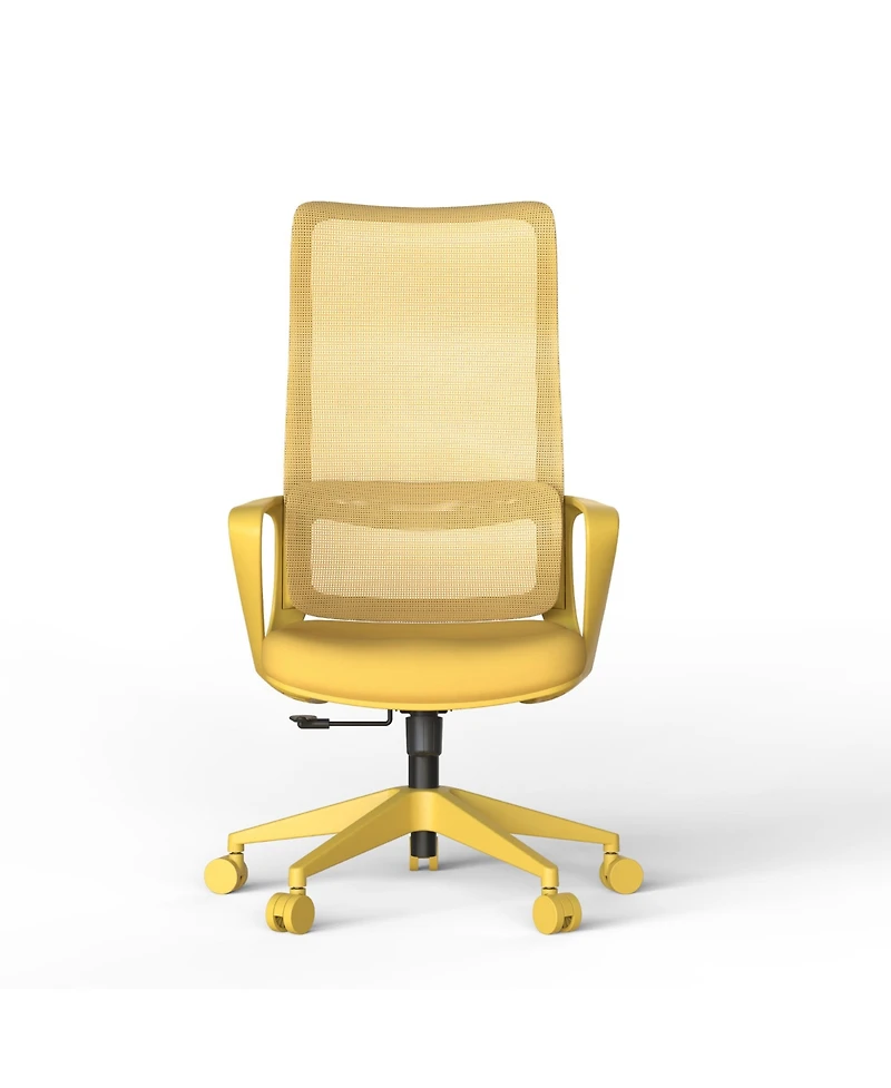 Rainsken Ergonomic Office Chair, Mesh Breathable High Back Computer Chair with Adjustable Lumbar Support, Foam Seat Cushion for Home Office