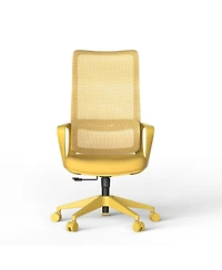 Rainsken Ergonomic Office Chair, Mesh Breathable High Back Computer Chair with Adjustable Lumbar Support, Foam Seat Cushion for Home Office