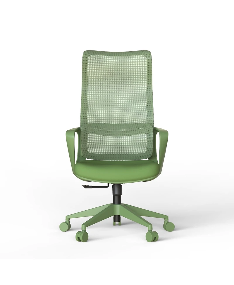 Rainsken Ergonomic Computer Chair
