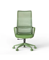 Rainsken Ergonomic Computer Chair