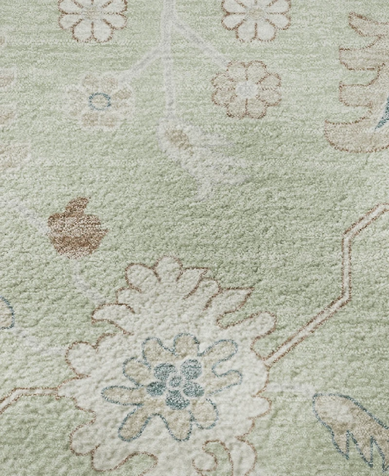 Addison Mayfield AMF1854 3' x 5' Area Rug