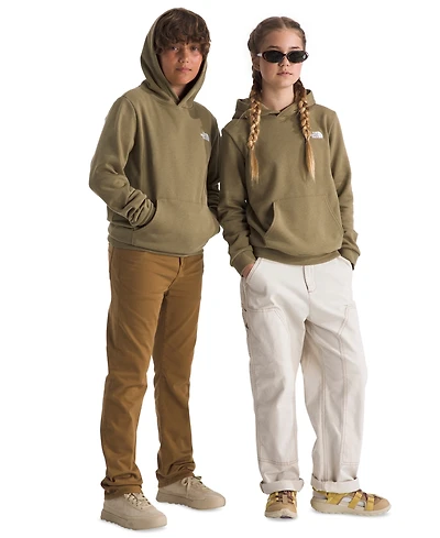 The North Face Big Boys' and Girls' Evolution Simple Dome Pullover Hoodie