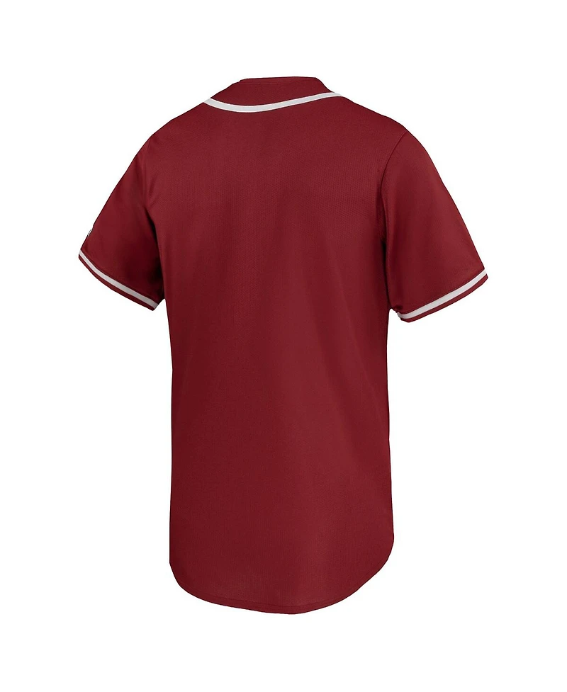 Nike Men's Cardinal Arkansas Razorbacks Limited Baseball Jersey