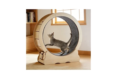 Zeus and Ruta Large Cat Exercise Wheel Treadmill for Indoor Cats
