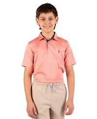 Tailorbyrd Boys Melange Mesh Performance Polo