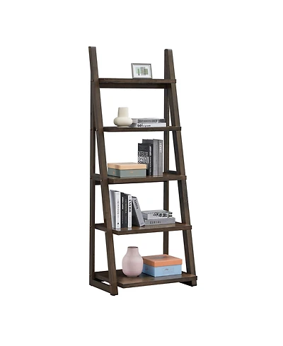 Rainsken Ladder Bookshelf