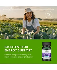 Swanson Iron (Ferrous Fumarate) 18 mg